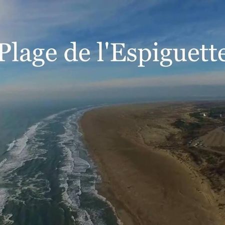 Grand Studio Au Grau-Du-Roi Proche Seaquarium Et Plage Le Grau-du-Roi Εξωτερικό φωτογραφία